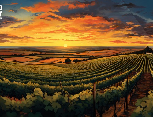 A Journey Through Wine Regions: Terroir and Tradition with Niccolò Baldelli-Boni, Josh McCallen and Jin Ahn